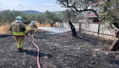 Defnede zeytinlik alanda yangın yaşandı