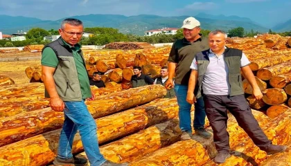 Dörtyolda orman işletmesinin çalışmaları değerlendirildi