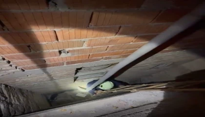 Düştüğü alana inebilmek için 1 saat hazırlık yapan itfaiye ekibine kediden son saniye sürprizi