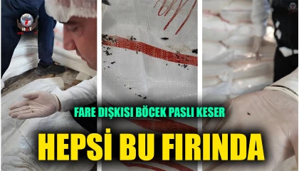 Fare dışkısından ve böcekten geçilmeyen fırındaki dondurucudan paslı keser çıktı