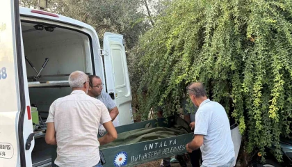 Gazipaşada bir kişi evinin merdiveninde ölü bulundu