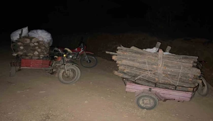 Hassada ormanda usulsüz kesim yapan şahıslar yakalandı