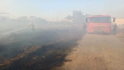 Hassada zeytinlik yangını yaşandı