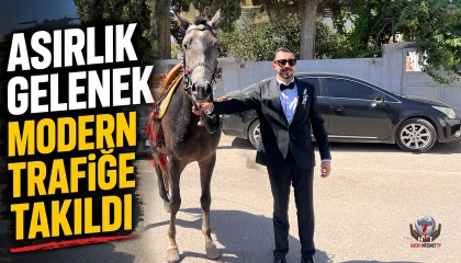 Hatay'da Atla Gelin Alma Girişimi Trafikte Yarıda Kaldı