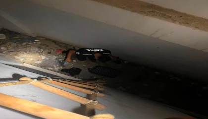 Hatayda mahsur kalan hayvanlar kurtarıldı