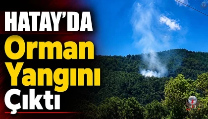 Hatayda orman yangını çıktı