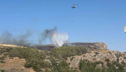 Hatayda orman yangınına havadan ve karadan müdahale sürüyor