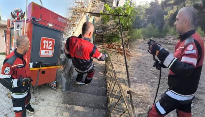Hatayda yerleşim yerlerinde görülen yılanlar doğal yaşam alanına bırakıldı