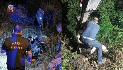 İskenderunda uçurumdan düşen inek iş makinesiyle kurtarıldı