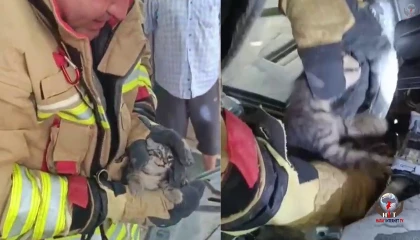 İtfaiyeciden kendini 1 saat uğraştıran yavru kediye yürek ısıtan karşılama