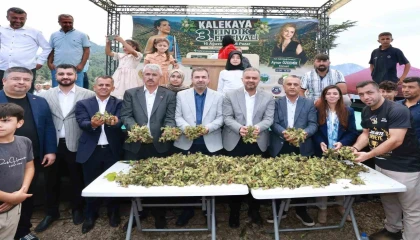 Kahramanmaraşın Karadenizi Kalekayada Fındık Festivali