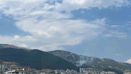 Kahramanmaraşta çıkan orman yangını kontrol altına alındı