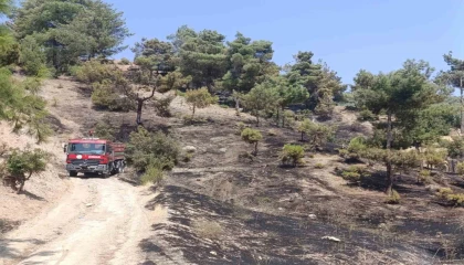 Kahramanmaraşta orman yangını kontrol altına alındı