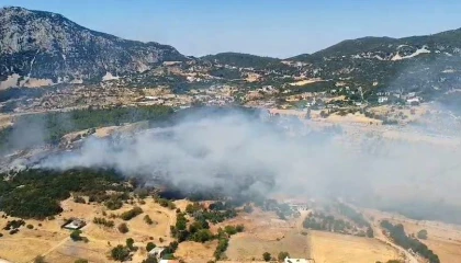 Kaşta çıkan ormanlık alan yangını 2,5 saatte kontrol altına alındı