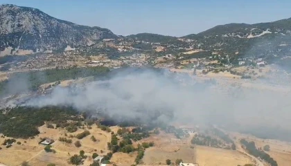 Kaşta ormanlık alanda yangın