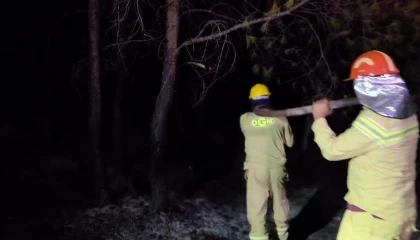 Kaştaki orman yangını büyük ölçüde kontrol altında