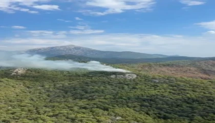 Kemerde orman yangını
