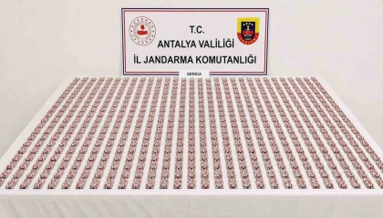 Kemerde uyuşturucu operasyonu: 6 gözaltı