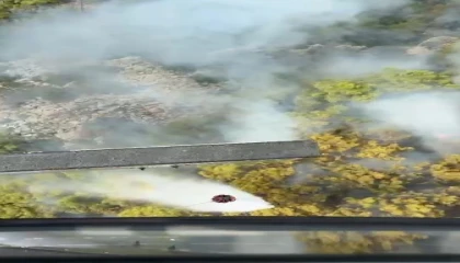 Kemerdeki orman yangını kontrol altına alındı