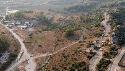 Manavgatta sokak hayvanlarına 75 dönümlük yaşam alanı