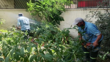 Mersin de park ve yeşil alanlarda bakım çalışmaları sürüyor