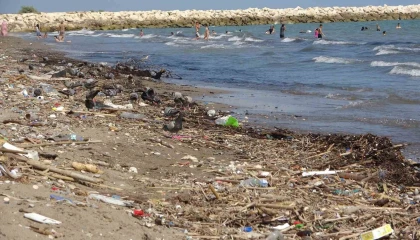 Mersin sahillerindeki kirlilik turizmi tehdit ediyor
