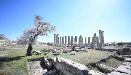 Mersinde 2 bin 300 yıllık antik kent Arkeoköy ile canlanıyor