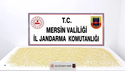 Mersinde 3 bin 760 uyuşturucu hap ele geçirildi