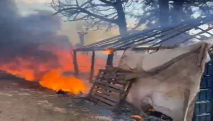 Mersinde seranın yanındaki barakada yangın paniği