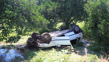 Önüne çıkan kediye çarpmamak için direksiyonu kırınca bahçeye uçtu