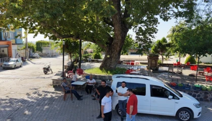 Osmaniyede 260 yıllık çınar yaz sıcağında doğal klima oluyor