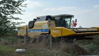 Osmaniyede yerli ve milli ayçiçeği çeşitlerinde ilk hasat yapıldı