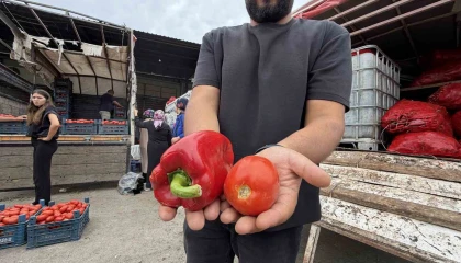 Osmaniyeli kadınların salça ve konserve mesaisi başladı