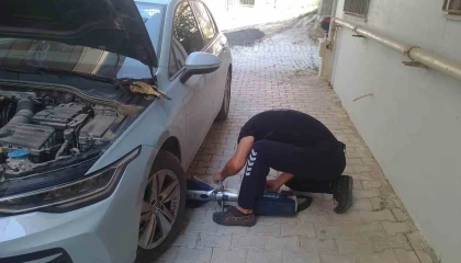 Reyhanlı ve Defnede mahsur kalan kediler kurtarıldı