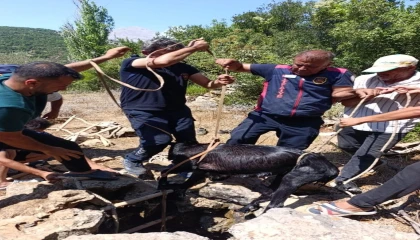 Su kuyusuna düşen keçi itfaiyenin operasyonuyla kurtarıldı