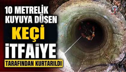 Su kuyusuna düşen keçi itfaiyenin operasyonuyla kurtarıldı