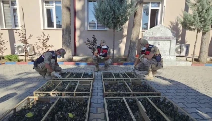 Suriyeye geçirilmek istenen 2 bin 114 saka kuşuna 19 milyon 871 bin TL ceza
