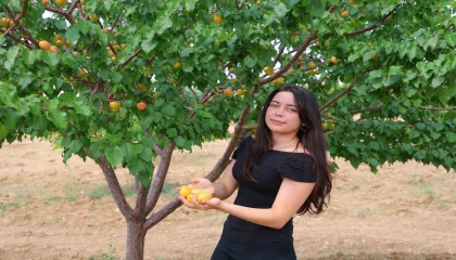 Susuz bölgede 500 kayısı ağacı yetiştirip 4 ton verim aldı, proje Türkiye birinciliği getirdi