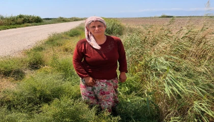 Süt satarak geçimini sağlayan kadının 2 buzağısı hastalanıp, ineği de su kanalına düşerek telef oldu
