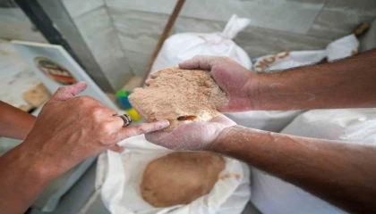 Un fabrikasında şoke eden görüntü: 30 ton böceklenmiş bozuk un ele geçirildi