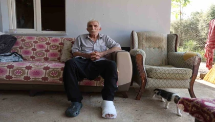 Yaşlı adama çarpıp hiçbir şey olmamış gibi yoluna devam etti