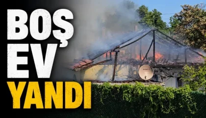 Yayladağında müstakil ev yandı