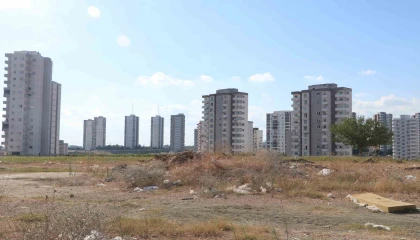 Adanada cırcır böceği sesleri vatandaşları uyutmuyor
