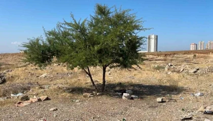 Adanada genç şahıs boş arazide ölü bulundu