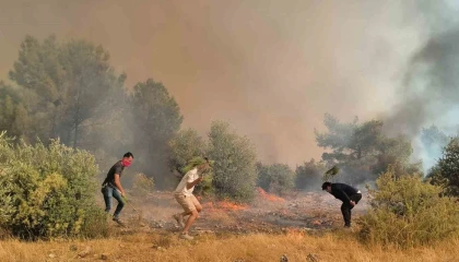 Aksudaki orman yangınının kontrol altına alma çalışmaları devam ediyor