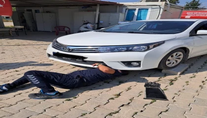 Antakya ve İskenderunda araçlarda mahsur kalan kediler kurtarıldı