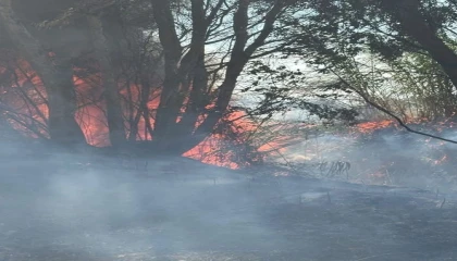 Antakyada ağaçlık ve otluk alan yangını büyümeden söndürüldü