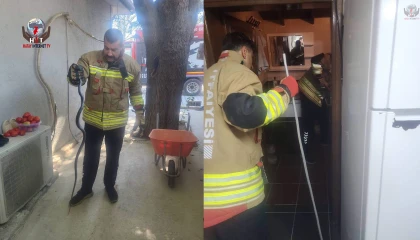 Antakyada eve giren yılan ekipler tarafından yakalandı