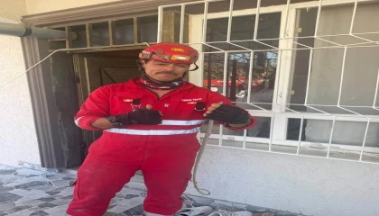 Antakyada eve giren yılan yakalandı