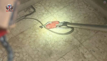 Antakyada eve giren yılan yakalandı